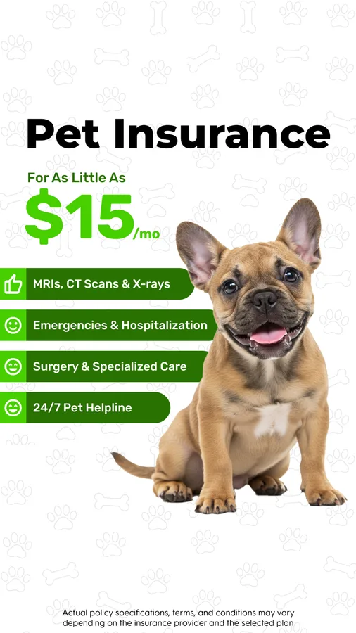 BestMoney: pet insurance