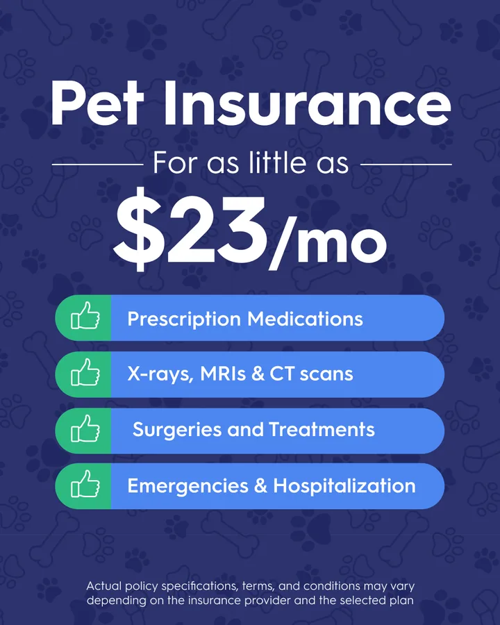 BestMoney: pet insurance